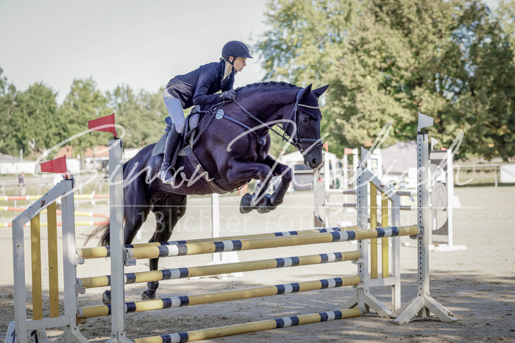 20250906-_3LI3212 | Tierfotografie Pferde, Hunde, Katzen, Haustiere.
Turnierfotografie Reitturniere, Reiten, Springreiten, Dressur in Hanau, dem Main-Kinzig-Kreis und dem Rhein-Main- Gebiet um Frankfurt