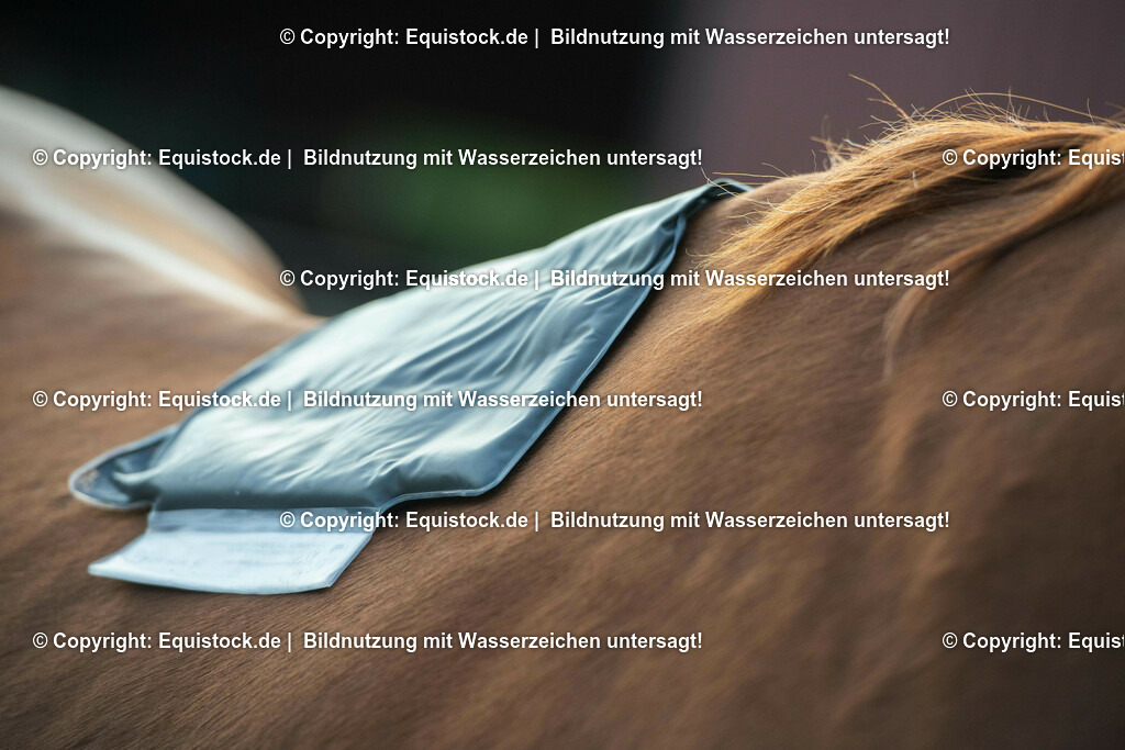 20200928_Moorpackung_0004 | equistock