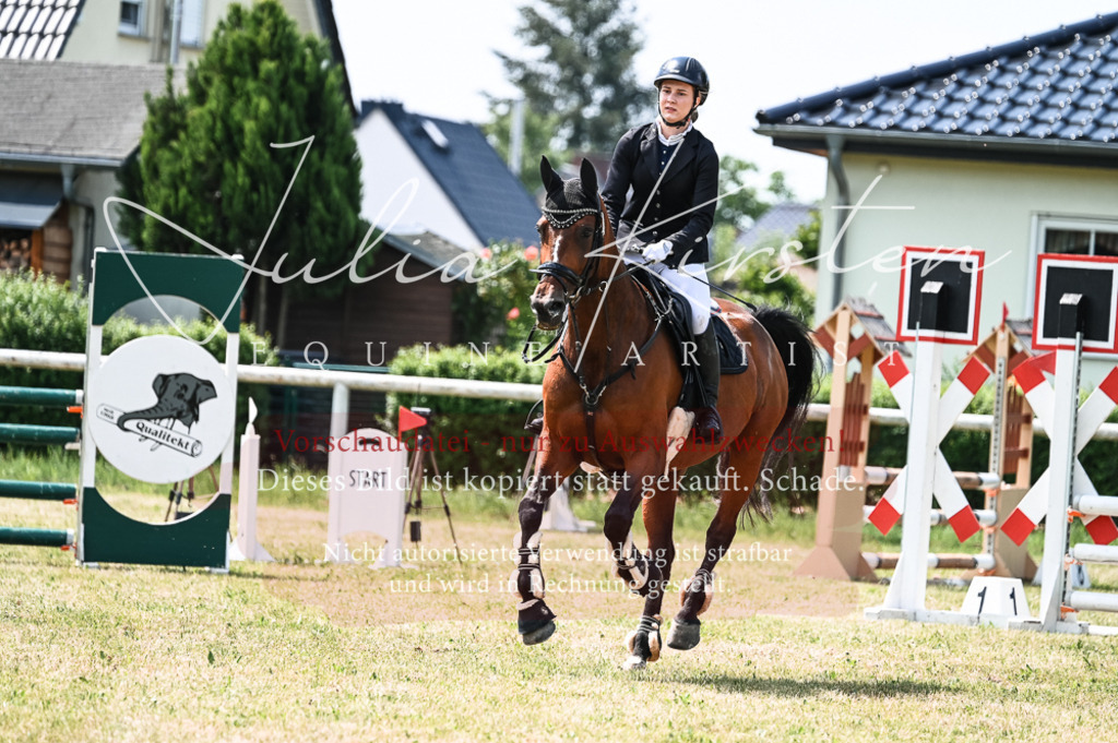 DSC_9428 | Pferde- und Turnierfotografie in Westsachsen. Pferdeportraits, Auftragszeichnungen und intuitive Kunst.