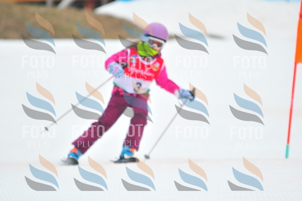 C0535 | holidayphoto