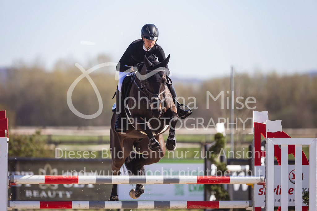 260402_Fruehlingsfest_M1-Spr-747 | Deine schönsten Turniermomente als professionelle Fotos! Entdecke hochwertige Pferdesport-Fotografie im Online-Shop. Jetzt Fotos finden & bestellen!