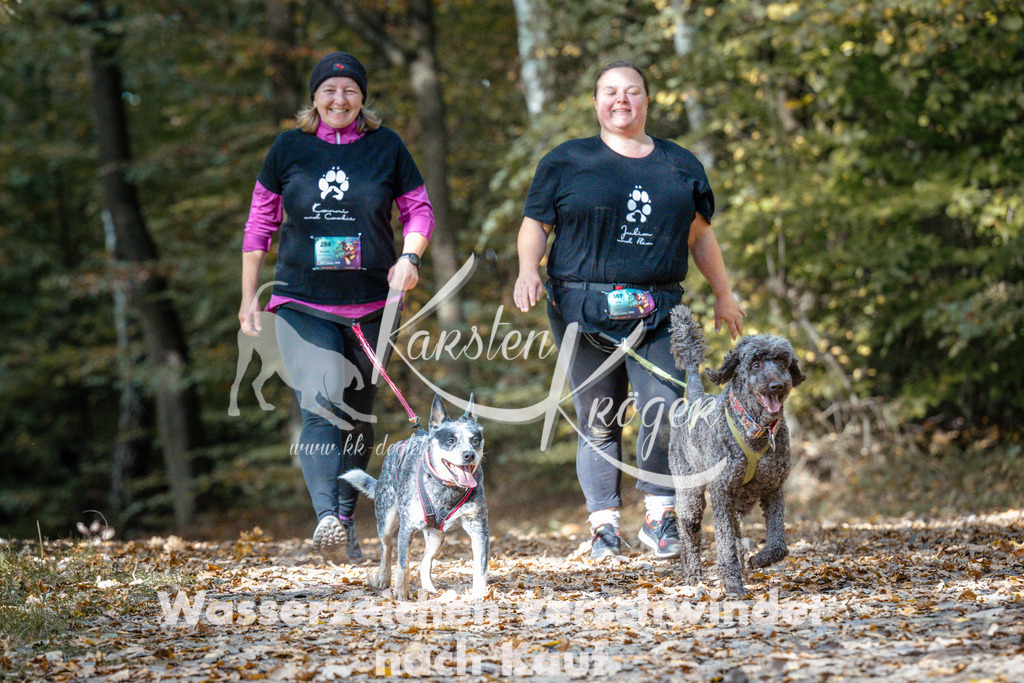 1313_ZZ97695 | kk-dogfotos