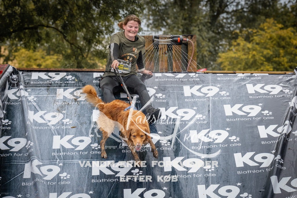 1254_ZZ90804 | kk-dogfotos