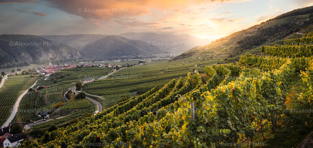 foto_c_pfeffel-partner-0038-R51_5116-Pano-Bearbeitet | alexander-pfeffel - Realisiert mit Pictrs.com