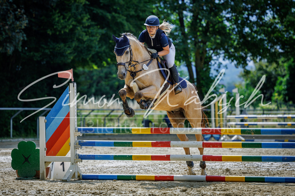 20260705-_3LI4248 | Tierfotografie Pferde, Hunde, Katzen, Haustiere.
Turnierfotografie Reitturniere, Reiten, Springreiten, Dressur in Hanau, dem Main-Kinzig-Kreis und dem Rhein-Main- Gebiet um Frankfurt