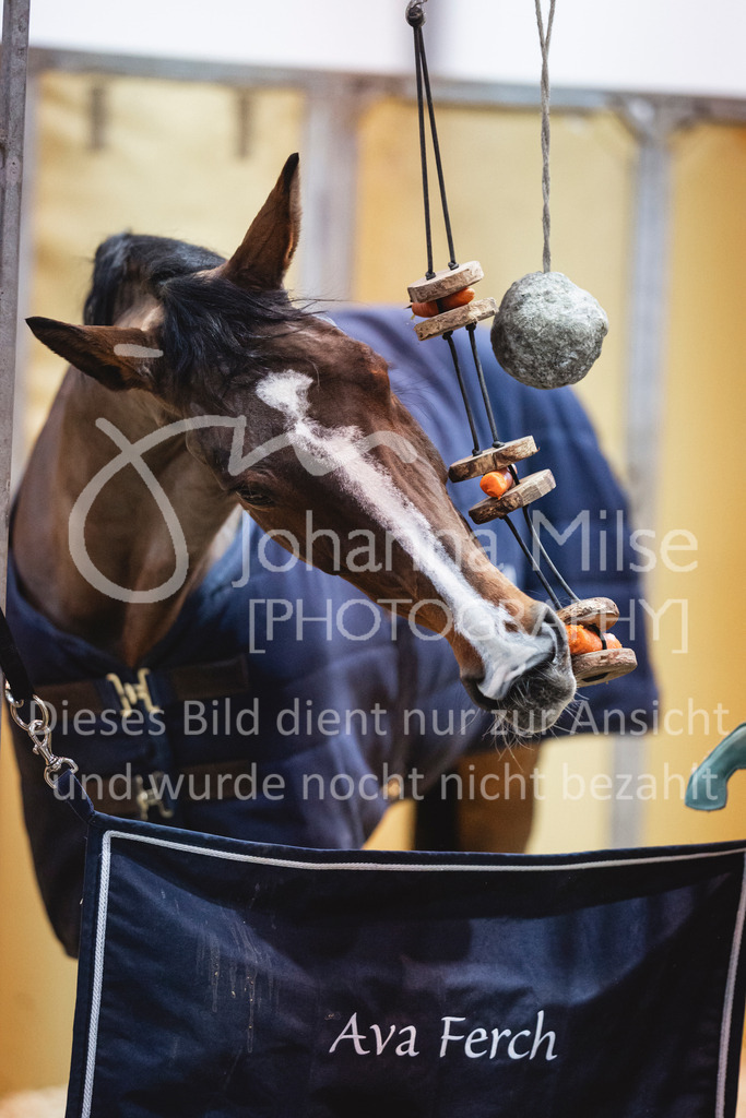 240119_Leipzig_Impressionen-509 | Deine schönsten Turniermomente als professionelle Fotos! Entdecke hochwertige Pferdesport-Fotografie im Online-Shop. Jetzt Fotos finden & bestellen!