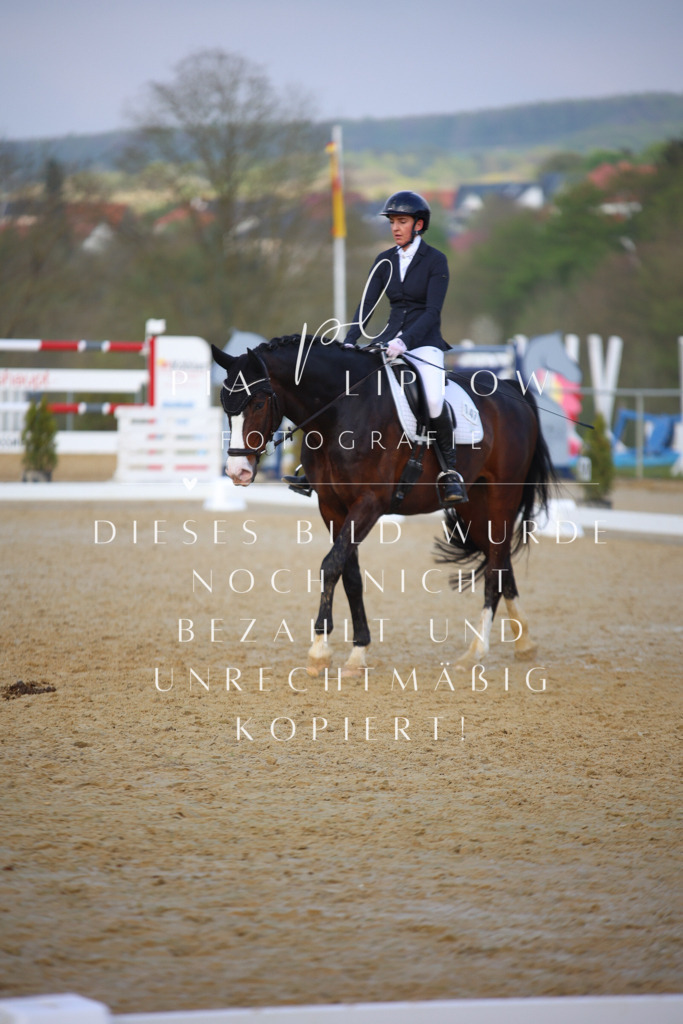 IMGT8596 | pl-fotografie