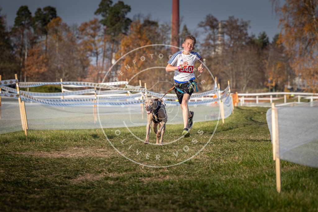 CaniXpix_0L8A8951 | Hundefotografie, Tierfotograf, Pfotenfotografie, Fotoshooting Hund, Hunde Portrait, Hundesport, Hundeportraits, Heideshooting, Hunde, Sportfotograf, Hundefotograf, Turnierhundsport, THS,  - Realisiert mit Pictrs.com
