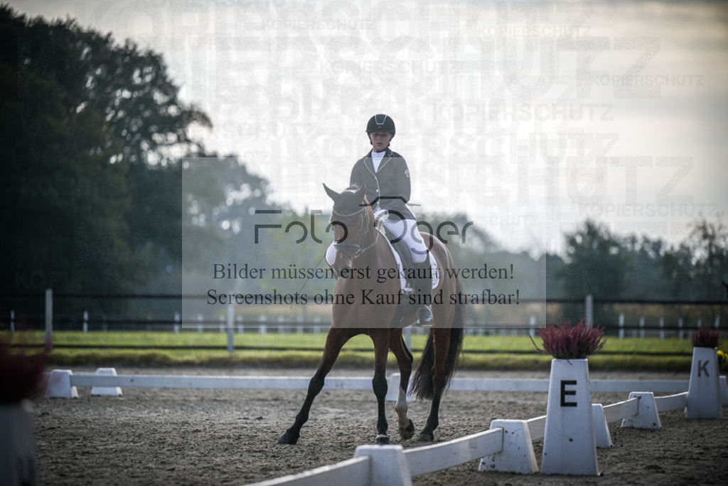 DOS_B006 | Entdecke hochwertige Reitturnierfotos von Foto Oger. Professionell, emotional und authentisch – jetzt Lieblingsmomente im Shop bestellen.Deutschlandweite Turnierfotografie. - Realisiert mit Pictrs.com