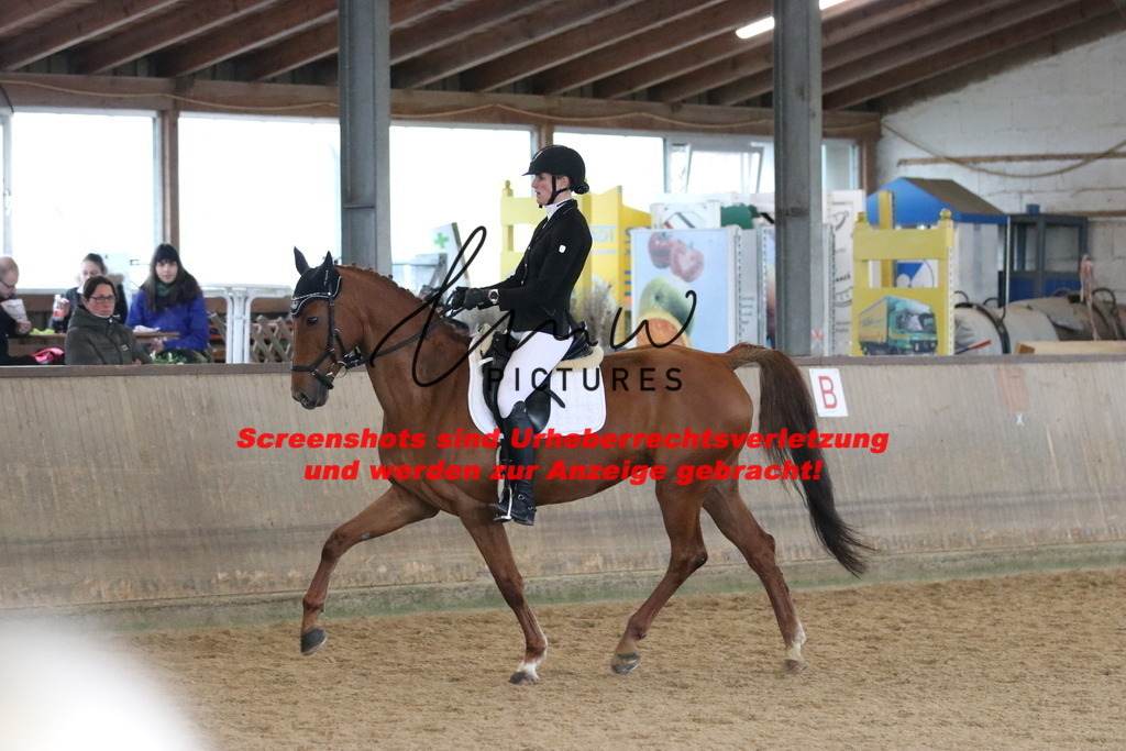 IMG_7412 | lmwpictures - Realisiert mit Pictrs.com