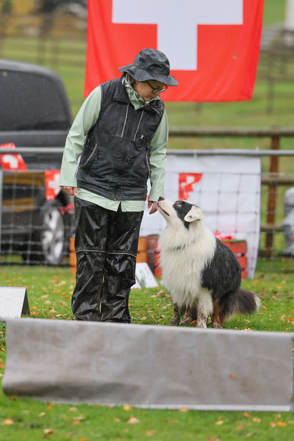 2025_Rally_Obedience_SM-257 | Ich fotografiere Hundeausstellungen, Sportanlässe, Zuchtstätten, Hundezucht, Hundeportrait, Lagotto - Realisiert mit Pictrs.com