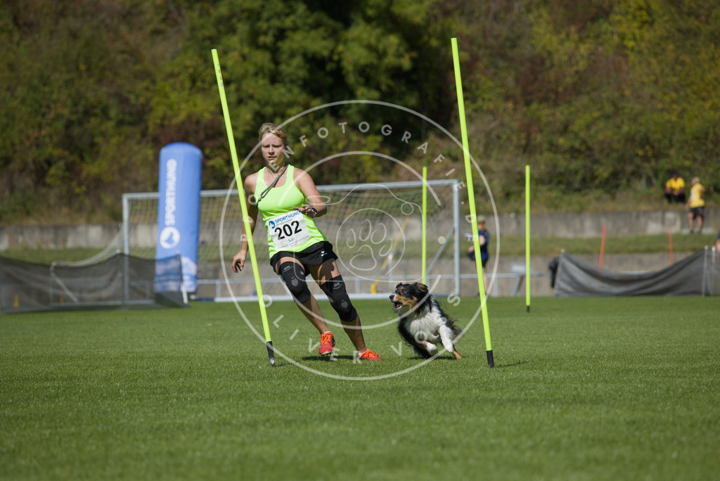 0L8A5800 | Hundefotografie, Tierfotograf, Pfotenfotografie, Fotoshooting Hund, Hunde Portrait, Hundesport, Hundeportraits, Heideshooting, Hunde, Sportfotograf, Hundefotograf, Turnierhundsport, THS,  - Realisiert mit Pictrs.com