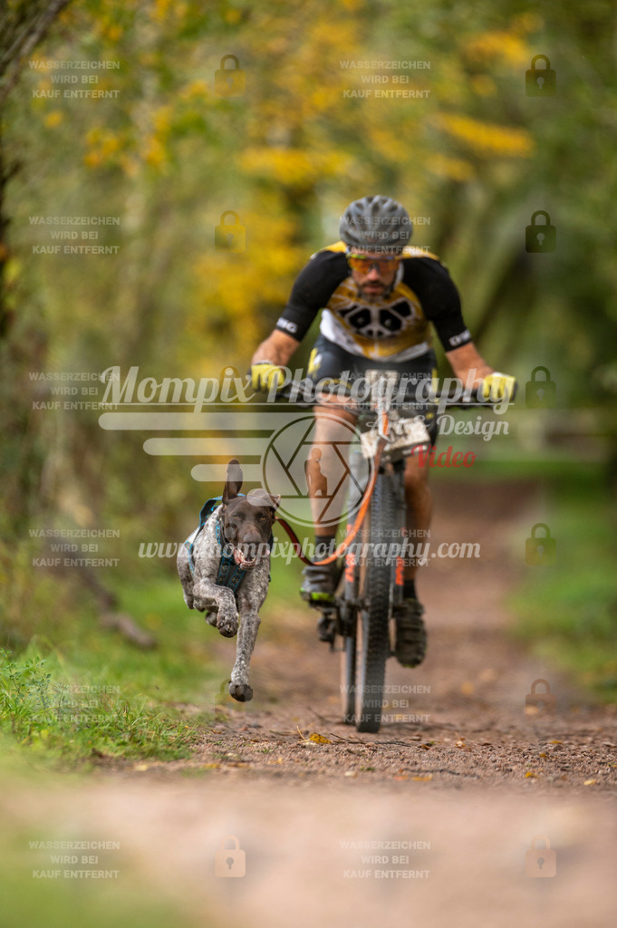 TSB_2023_E4_Bike-11 | PayLife