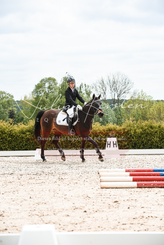 20230518_JK-Röhrsdorf-10-603 | Pferde- und Turnierfotografie in Westsachsen. Pferdeportraits, Auftragszeichnungen und intuitive Kunst.