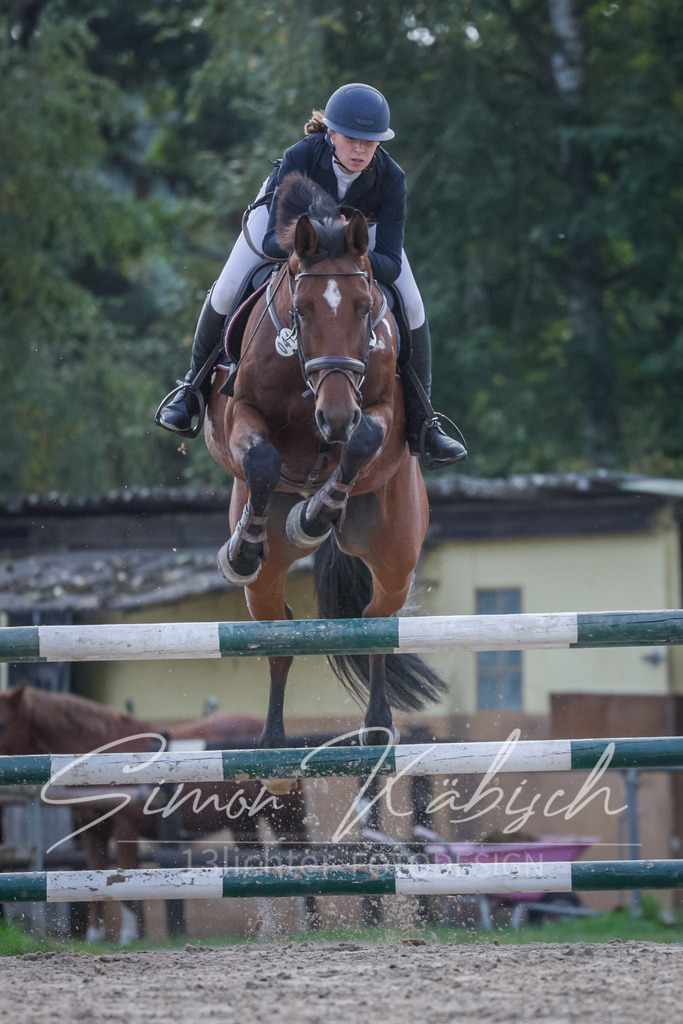 20251012-_3LI5555 | Tierfotografie Pferde, Hunde, Katzen, Haustiere.
Turnierfotografie Reitturniere, Reiten, Springreiten, Dressur in Hanau, dem Main-Kinzig-Kreis und dem Rhein-Main- Gebiet um Frankfurt