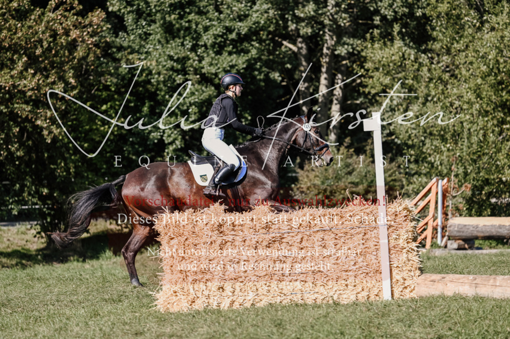 DSC_3414 | Pferde- und Turnierfotografie in Westsachsen. Pferdeportraits, Auftragszeichnungen und intuitive Kunst.