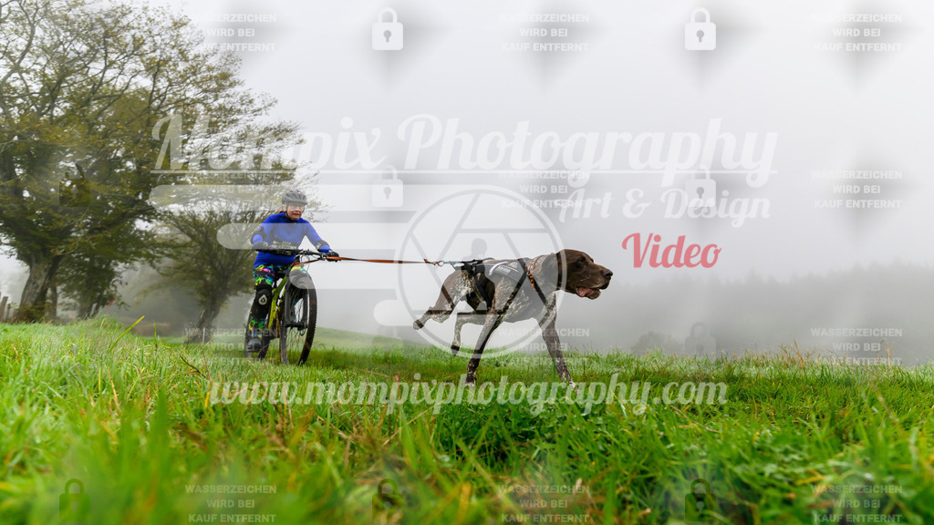 MompixPhotography_20TSB_E5_Bike-74 | PayLife