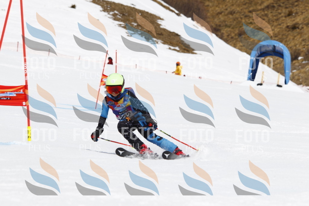 _U3G5972 | holidayphoto