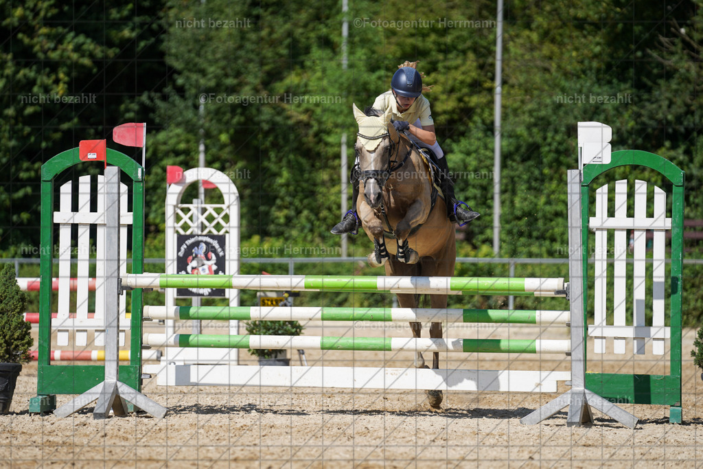 20240824-FAH08403 | Thierhaupten 2024, Bayerisches Landesponyturnier, Turnierbilder, Ponybilder, Turnierfotografen Bayern, Fotoagentur Herrmann