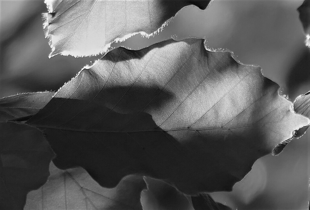 P3560720_c | Annaeherungen - Realisiert mit Pictrs.com