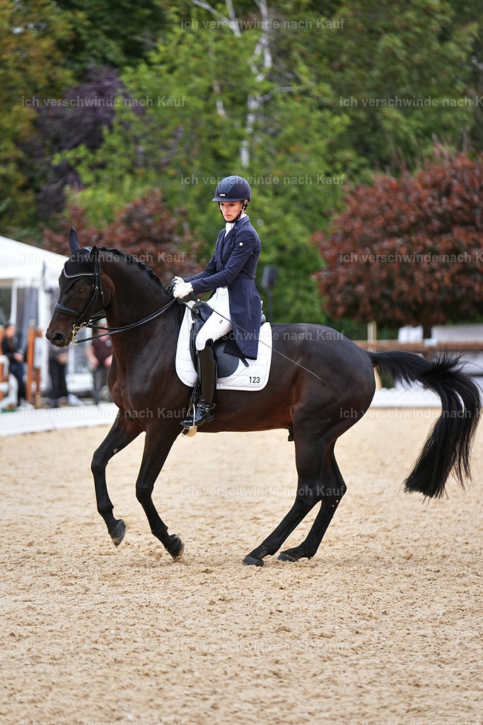 11-123-Dressur S___-Marixx-1534 | working equitationturnier fotograf videograf stoibphotography marixx film working equitation deutschland reitsport turnierfotografie eventfotografie equestrian events