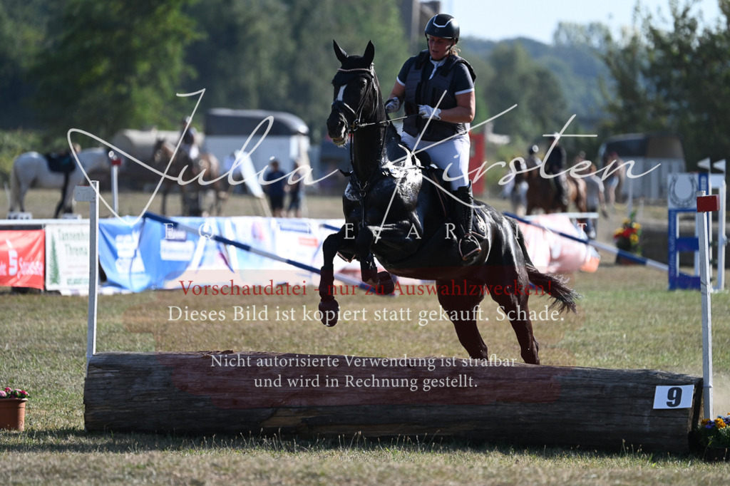 DSC_8940 | Pferde- und Turnierfotografie in Westsachsen. Pferdeportraits, Auftragszeichnungen und intuitive Kunst.