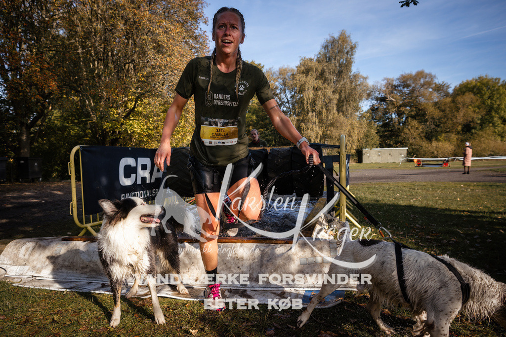 1041_ZZ92677 | kk-dogfotos