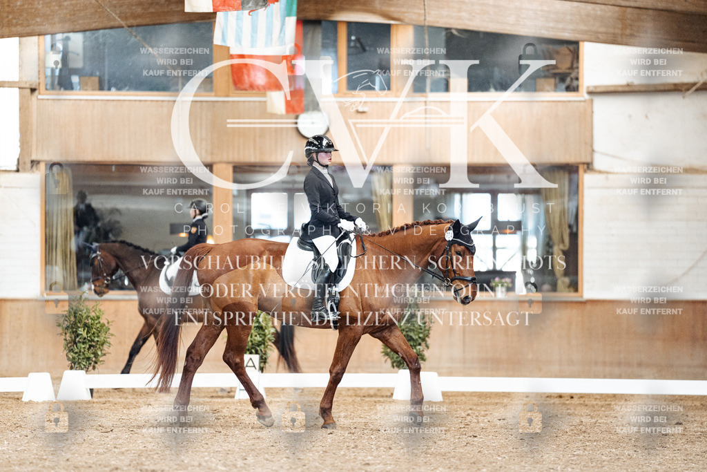 CK901098 | Turnierfotografie Pferdefotografie Trier Rheinland-Pfalz Pferdesport Reitsport Tierfotografie Sportfotografie Pferdevideo Pferdevideografie Equestrianvideography equestrianphotography  - Realisiert mit Pictrs.com