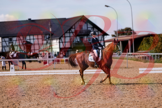2026_10_03_Siefer-Hof_133156_Z81_87440885 | Professionelle Reitsport-, Turnier- und Eventfotografie von Robert Broda. Galerien mit ausgewählten und bearbeiteten Bildern direkt online ansehen und bestellen.