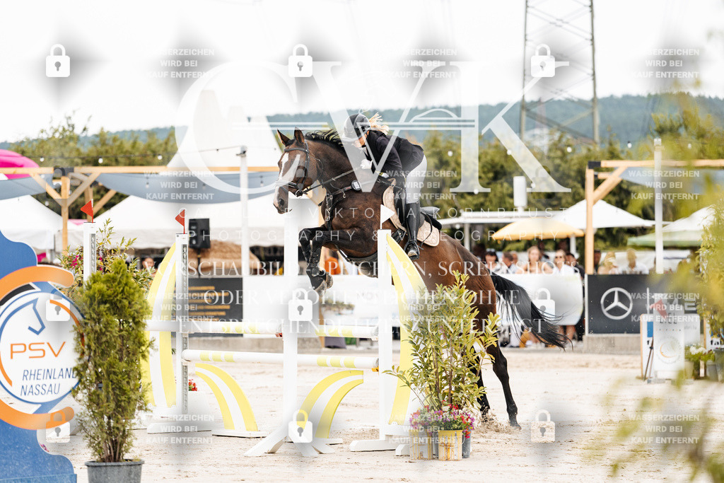CK906335 | Turnierfotografie Pferdefotografie Trier Rheinland-Pfalz Pferdesport Reitsport Tierfotografie Sportfotografie Pferdevideo Pferdevideografie Equestrianvideography equestrianphotography  - Realisiert mit Pictrs.com