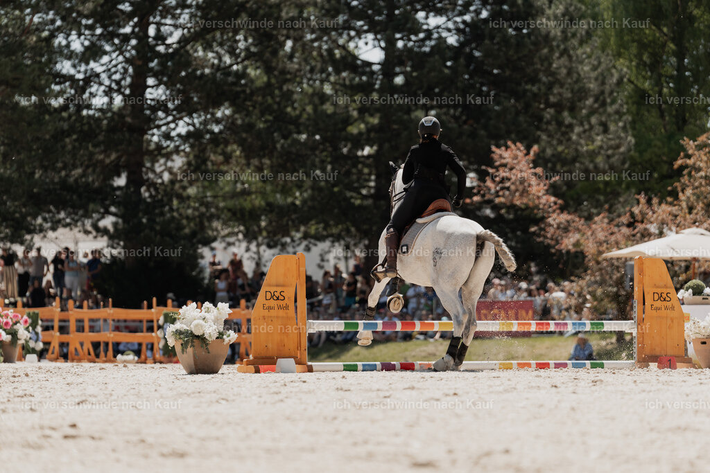WE_SP_Stoib_312_PI2025_1642 | Pferd International München 2025