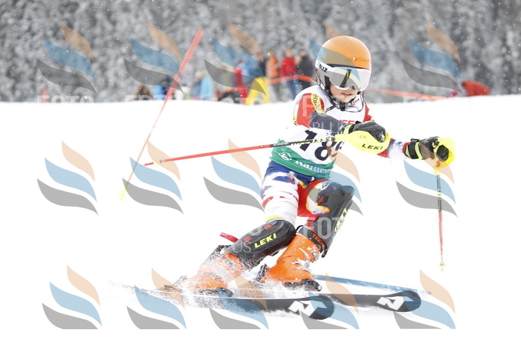 A2111 | holidayphoto