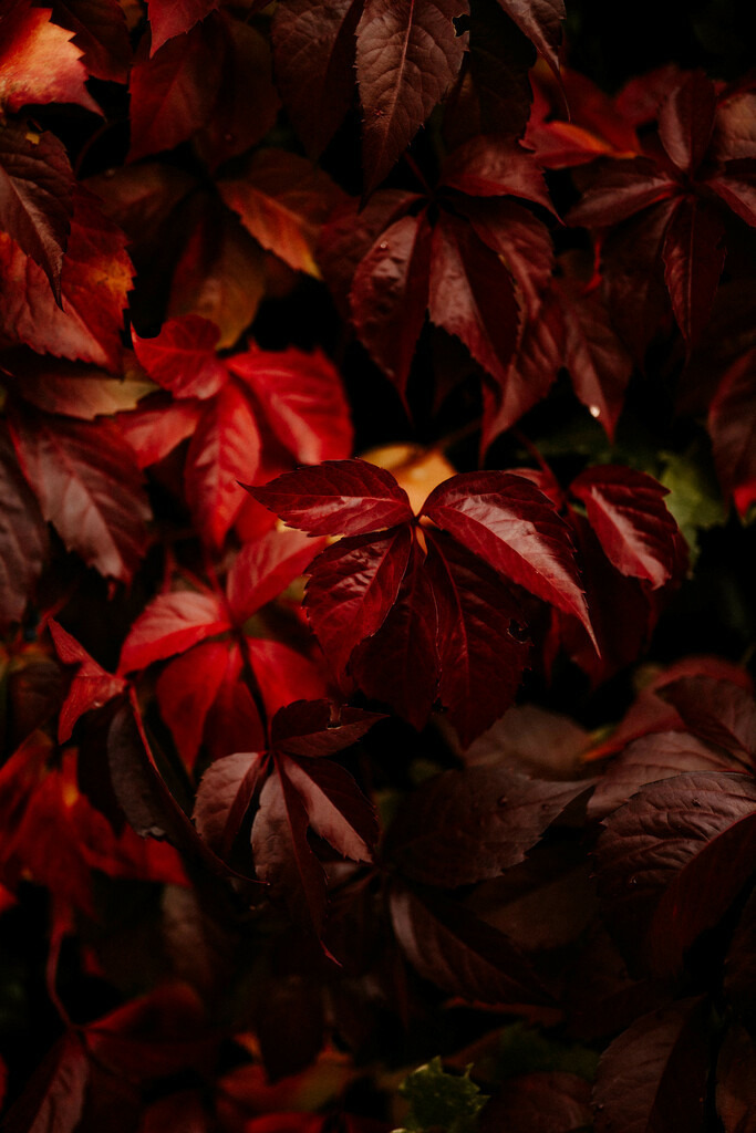 IMG_5386 | Print Shop 
Fotografie
Posterdruck
Landschaftsfotografie
Reisefotografie
Naturfotografie
Anja Brandes Poster 
Anja Brandes Photography 
Prints for Walls 
Printable 
Posterdrucke
Poster aesthetic 
Poster Wall 
Poster Prints 
Poster schwarz weiß - Realisiert mit Pictrs.com