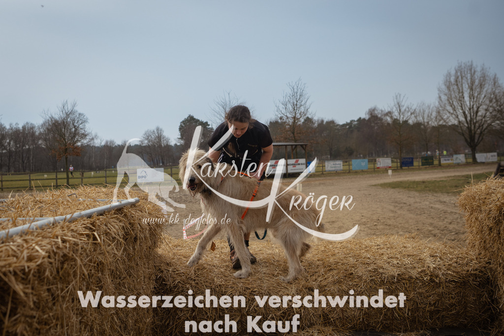 1156_ZZ95597 | kk-dogfotos