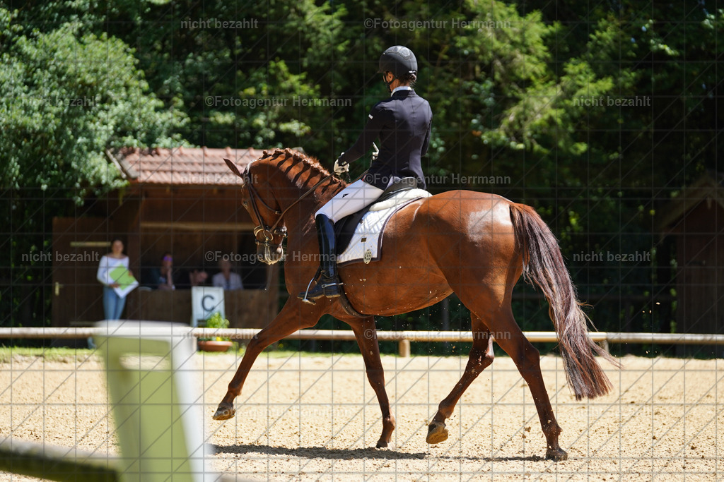 20240705-FAH04214 | Turnierbilder von Grafing, Reitsportbilder, Turnierfotos, Turnierfotografen Bayern, Pferdefotograf, Fotoagentur Herrmann