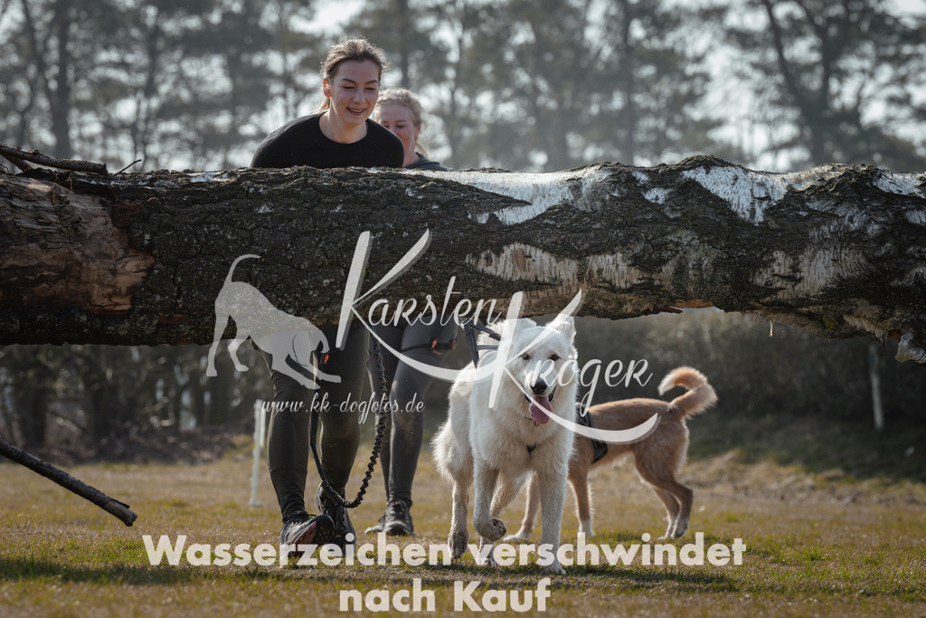 1127_ZZ95157 | kk-dogfotos