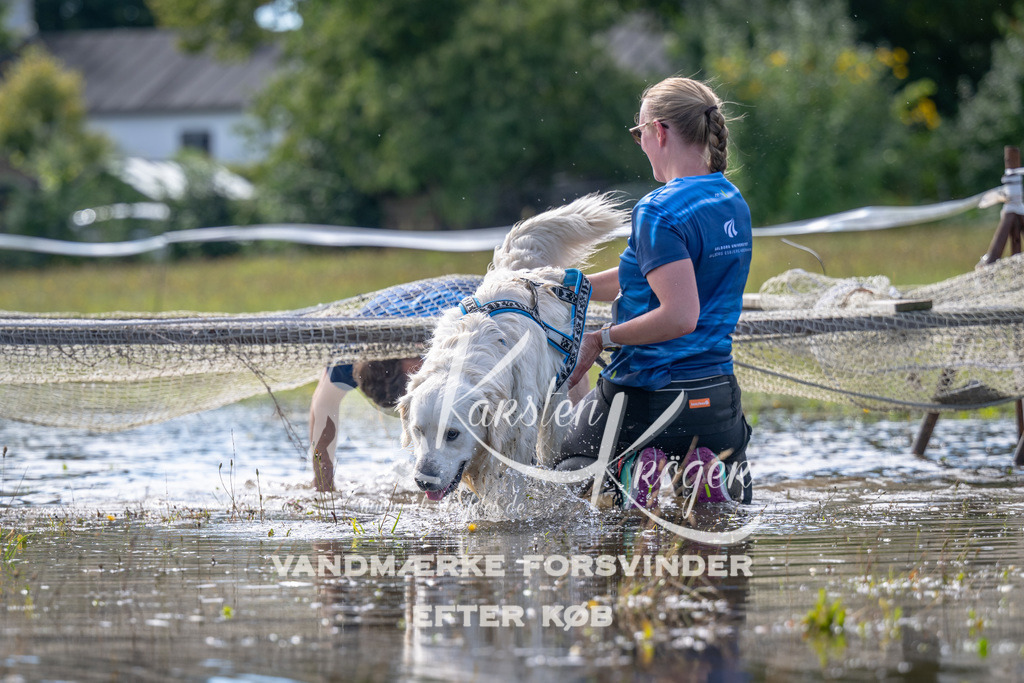 1218_ZZ93687 | kk-dogfotos