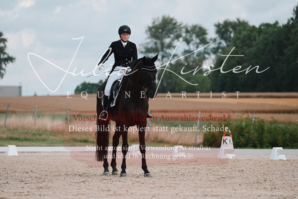 DSC_4243 | Pferde- und Turnierfotografie in Westsachsen. Pferdeportraits, Auftragszeichnungen und intuitive Kunst.