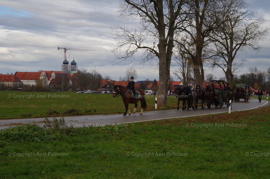 IMGP0346 | fotografiert von Axel PollmannLeonhardi Wallfahrt Benediktbeuern und Murnau, Fronleichnam, Fasching, Landschaft im Loisachtal und Benediktbeuern  - Realisiert mit Pictrs.com