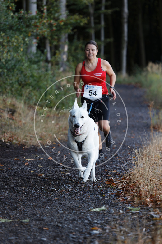 0L8A1816 | Hundefotografie, Tierfotograf, Pfotenfotografie, Fotoshooting Hund, Hunde Portrait, Hundesport, Hundeportraits, Heideshooting, Hunde, Sportfotograf, Hundefotograf, Turnierhundsport, THS,  - Realisiert mit Pictrs.com