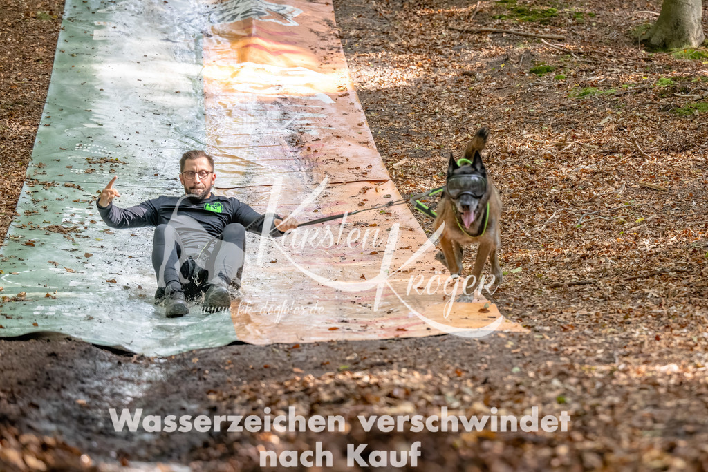 1229_ZZ90447-Bearbeitet | kk-dogfotos