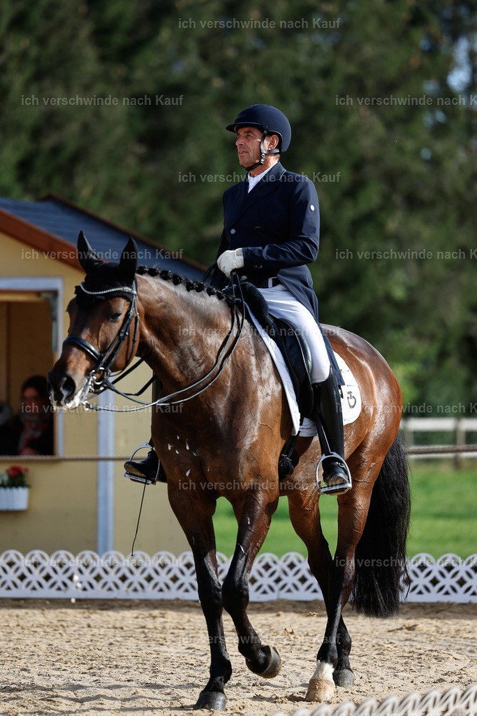 13-226-S___ -StoibPH-6931 | working equitationturnier fotograf videograf stoibphotography marixx film working equitation deutschland reitsport turnierfotografie eventfotografie equestrian events