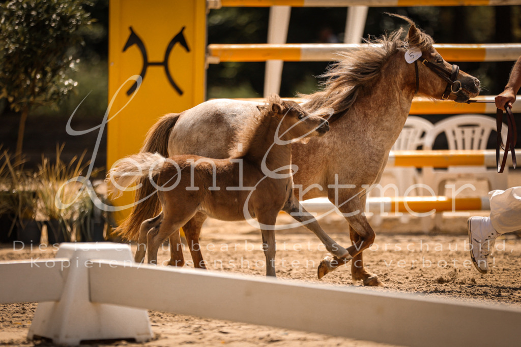 01.DoKR00132 | Leoni Ertmer Photography - Realisiert mit Pictrs.com