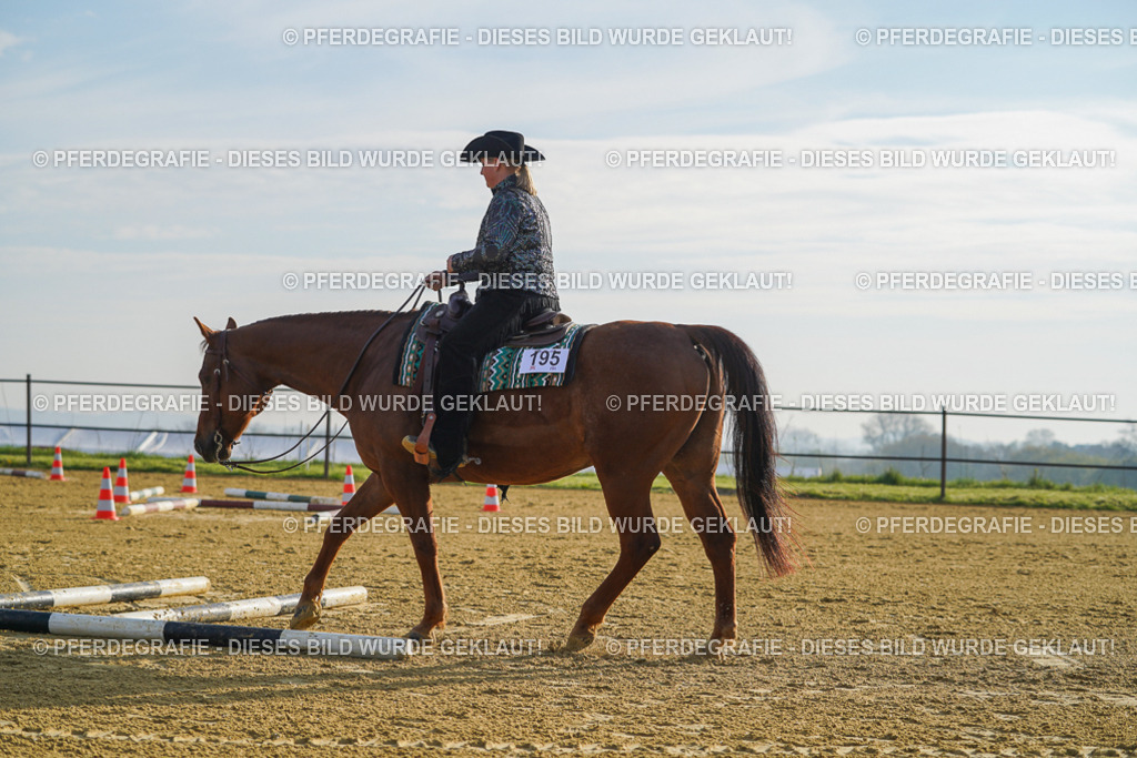 DSC00568 | Pferdegrafie