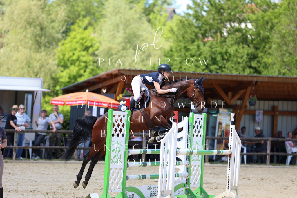 IMGS8192 | pl-fotografie