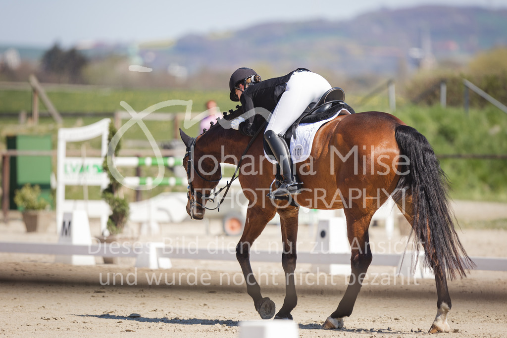 220418_L-Dressur-214 | Frühlingsfest der Pferde
Herford
18.April 2022
Dressurprfg. Kl.L* - Tr. L2ausw. geschlossen