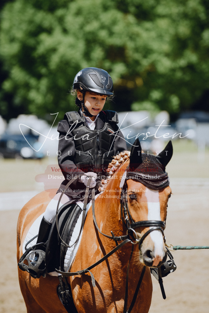 DSC_2395 | Pferde- und Turnierfotografie in Westsachsen. Pferdeportraits, Auftragszeichnungen und intuitive Kunst.