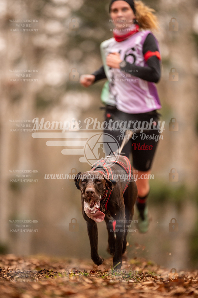 AKM_ST_2023_SAM_Run-31 | PayLife