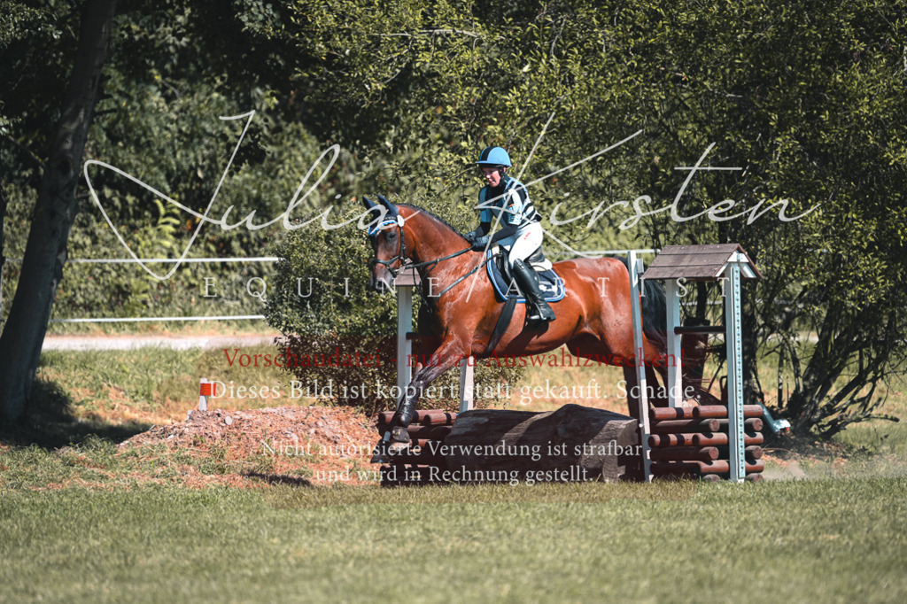 DSC_8058 | Pferde- und Turnierfotografie in Westsachsen. Pferdeportraits, Auftragszeichnungen und intuitive Kunst.