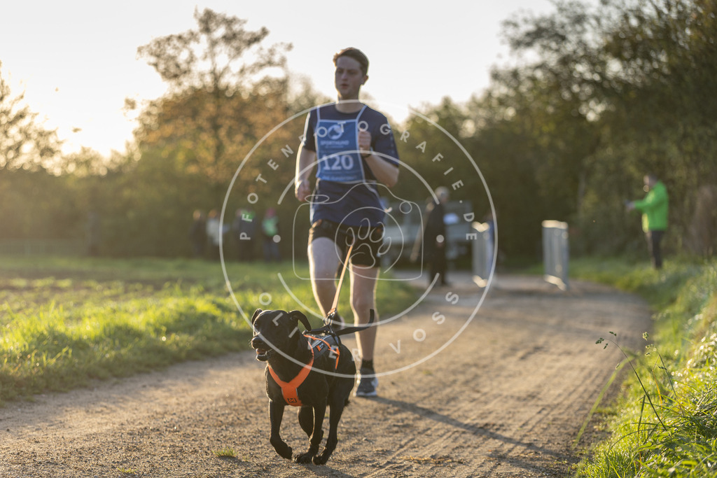Pfotenfotografie.de_DV3A2417 | Hundefotografie, Tierfotograf, Pfotenfotografie, Fotoshooting Hund, Hunde Portrait, Hundesport, Hundeportraits, Heideshooting, Hunde, Sportfotograf, Hundefotograf, Turnierhundsport, THS, canicross - Realisiert mit Pictrs.com